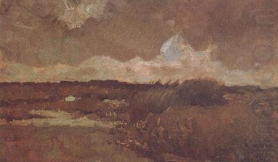 Marshy Landscape (nn04), Vincent Van Gogh